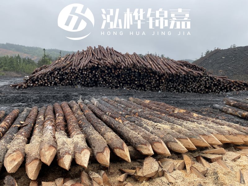6米長松木樁有哪些作用，多少錢一根？