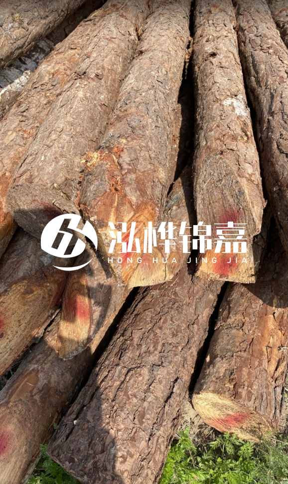 <strong>松木樁和杉木樁的用途區(qū)別？哪個更適合打樁用？</strong>