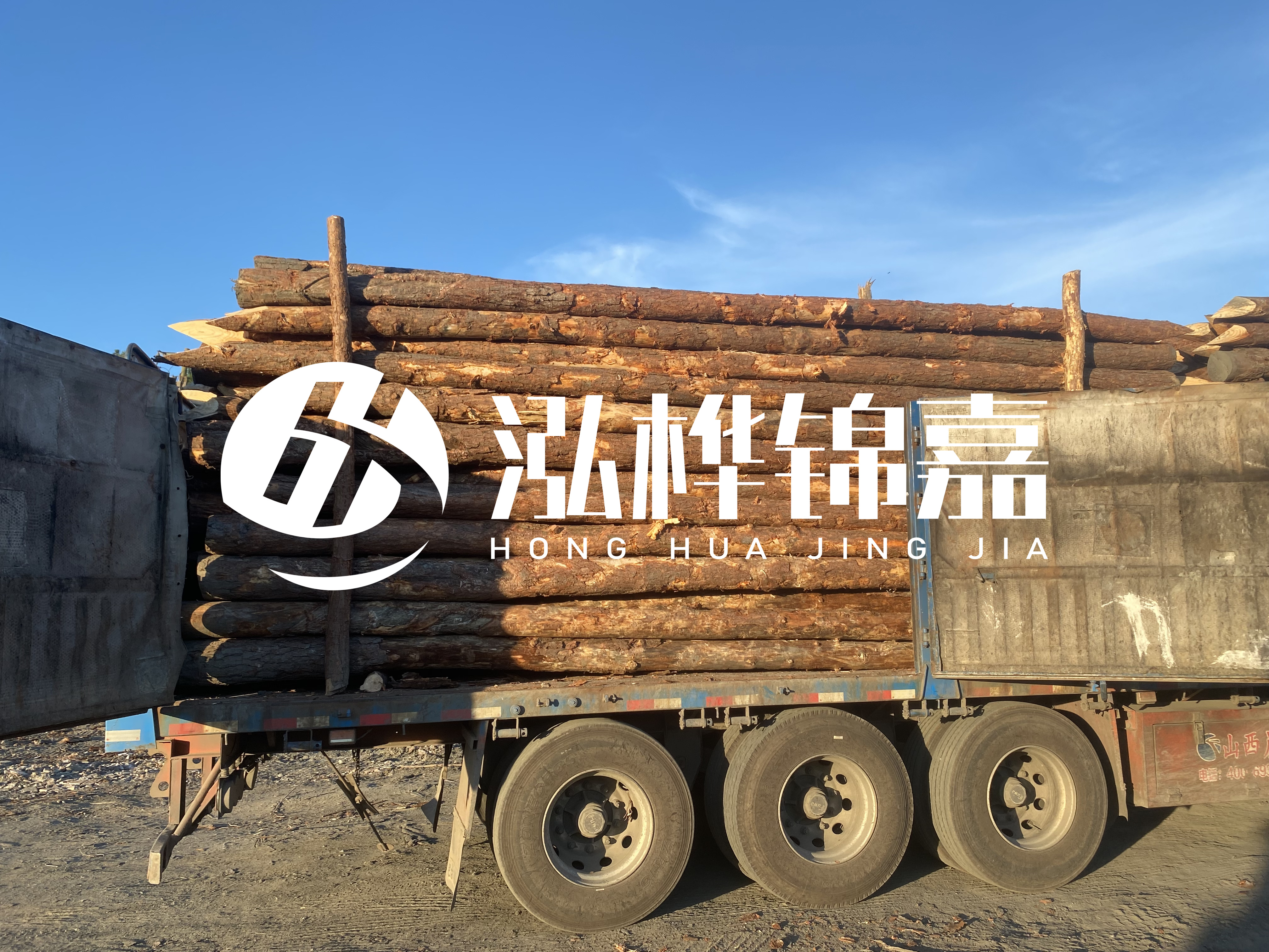 河道治理為什么要用松木樁？