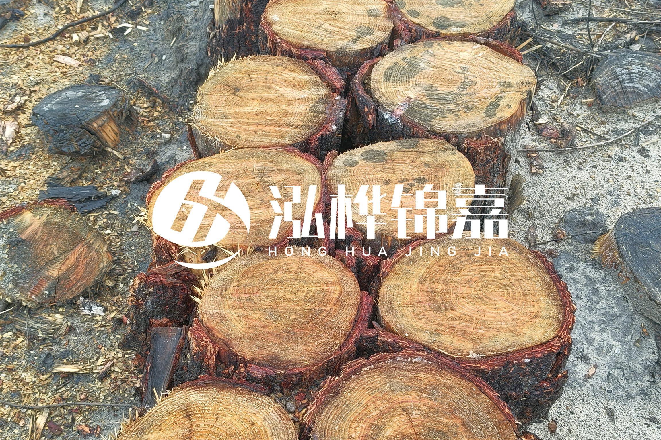 浙江臺州有清淤的公司嗎？浙江臺州有清淤施工隊嗎？