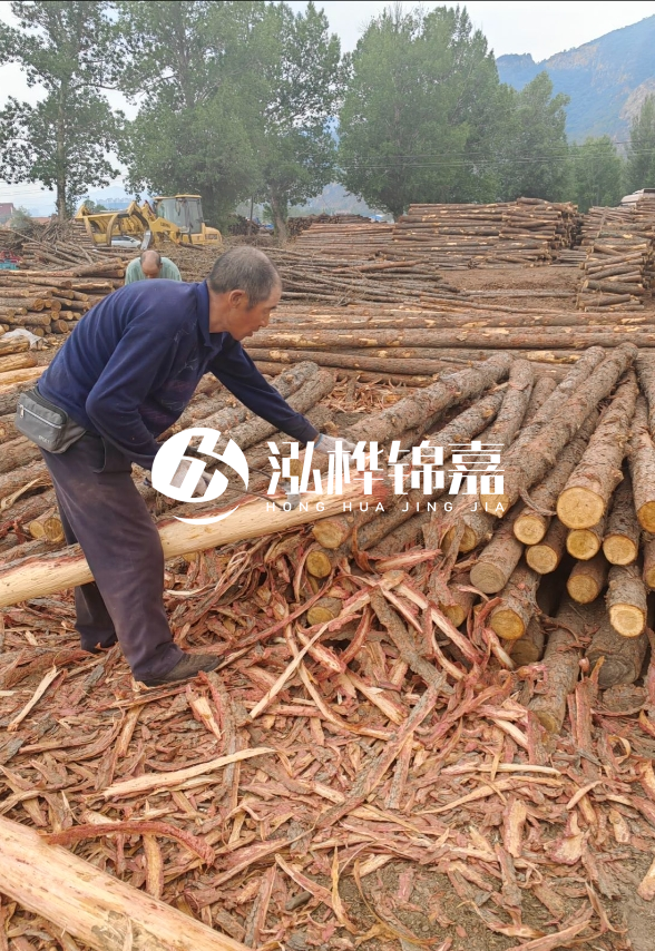 九江河底清理淤泥施工隊-河道清淤85元一方能干嗎？