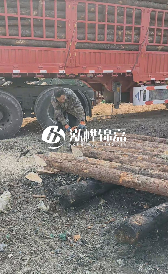 2米松木樁多少錢一根？15-20CM直徑價格是多少？