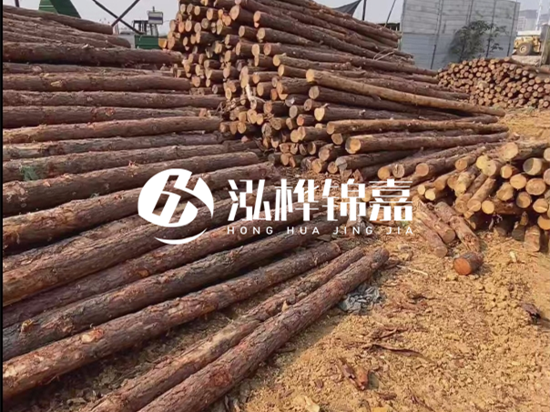 河道木樁施工遇到淤泥怎么辦？打多深才能防沖刷？
