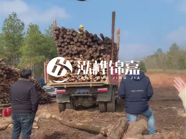 防腐木樁價(jià)格比普通木樁貴多少？防腐木樁有哪些處理方式？