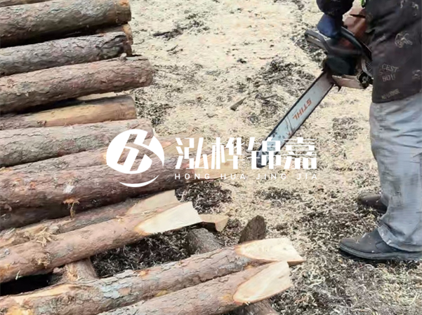 杉木樁批發(fā)廠家哪家好？產(chǎn)地直供渠道推薦！
