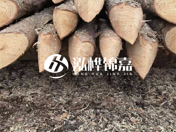 打樁木樁與鋼樁相比有哪些優(yōu)缺點(diǎn)？如何進(jìn)行后期維護(hù)？