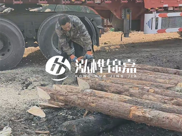 松木圓木價(jià)格大概多少一方-松木樁廠家按方可以賣嗎？