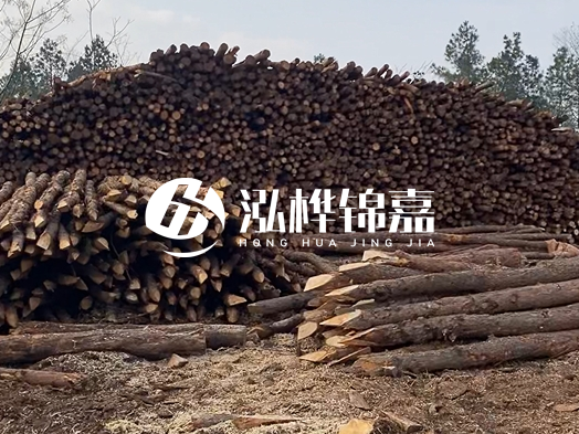地基打木樁用什么木材 - 地基打木樁的能撐幾年？