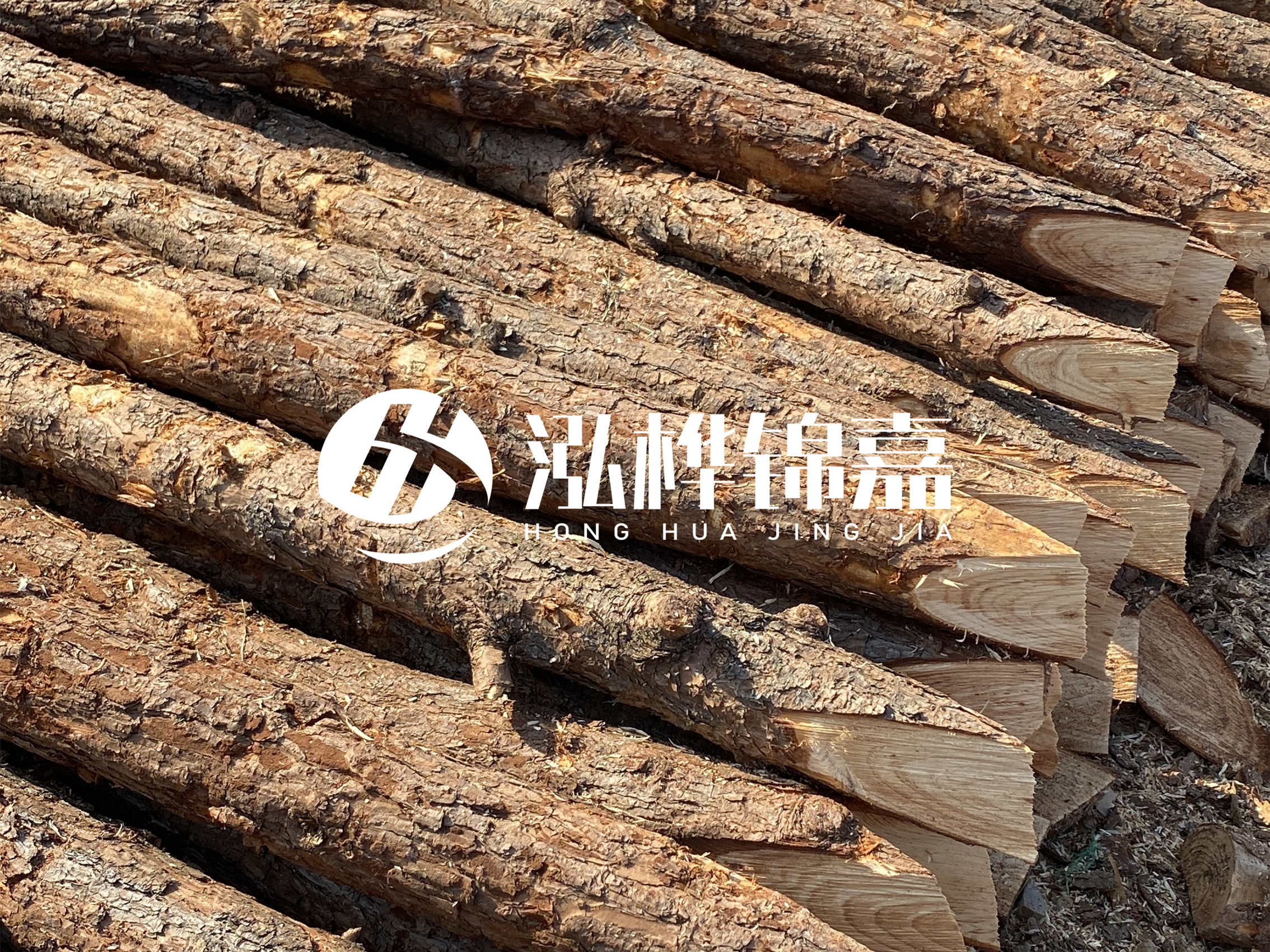 8 米超大直徑松木樁的價格是多少？帶皮和去皮松木樁價格差多少？