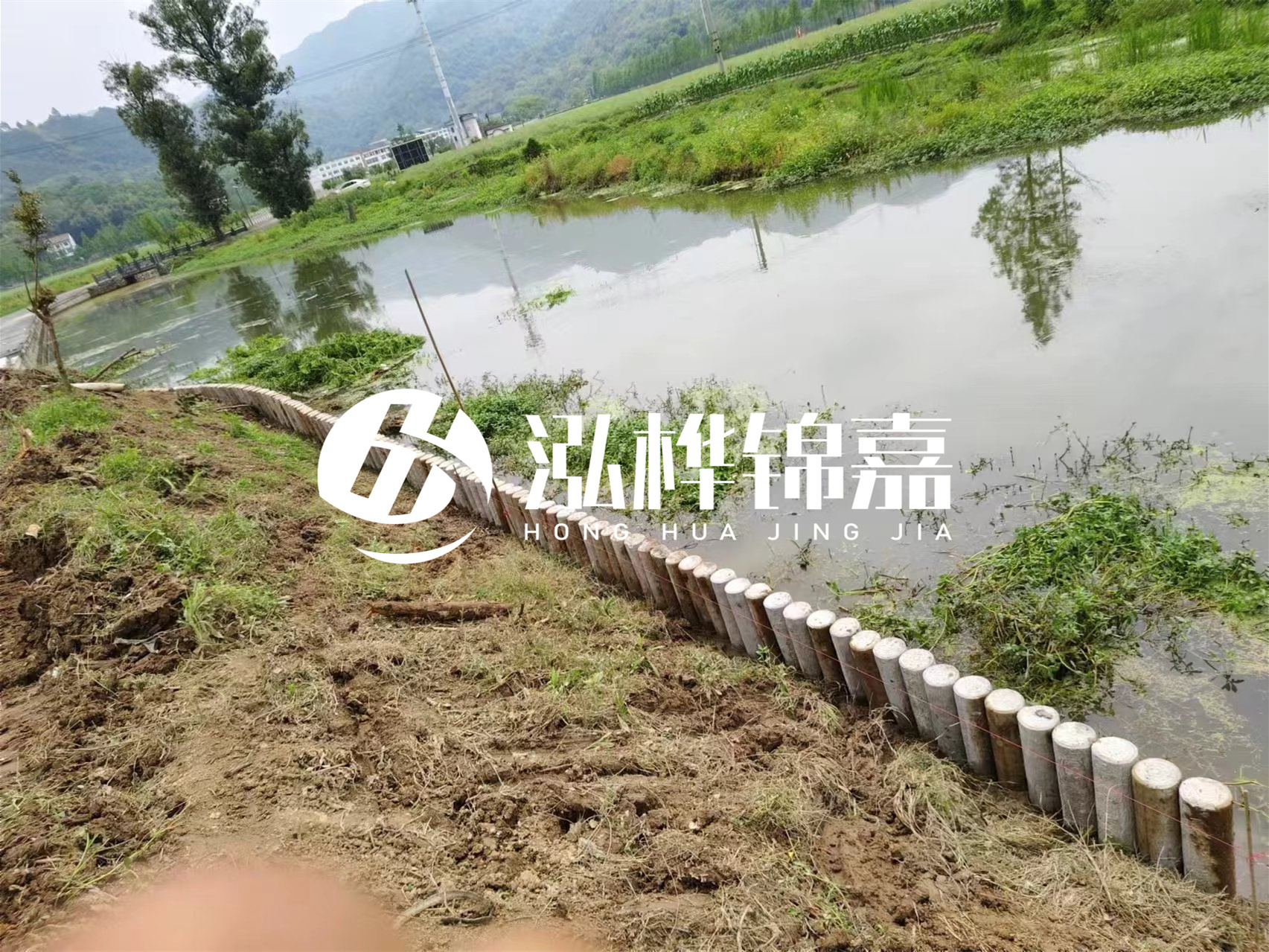 松木樁加固河道與水泥樁對比如何？哪一種更加適合您？