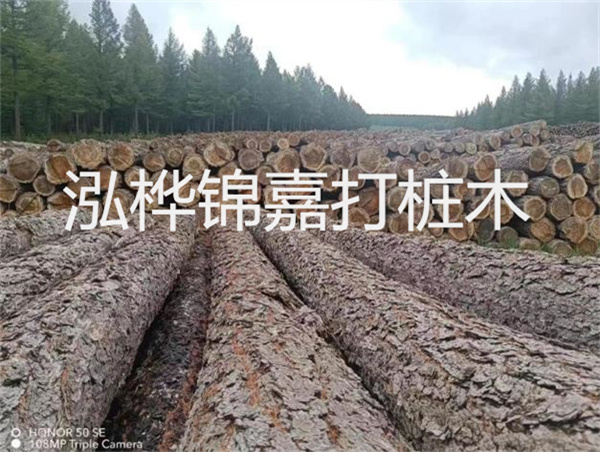 高效施工，圓松木樁助力建筑工程進(jìn)展順利
