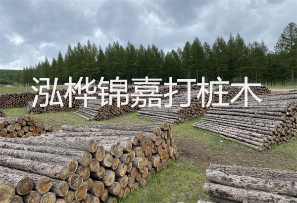 預制松木樁施工工藝：優(yōu)質(zhì)材料，高效快速，堅固耐用