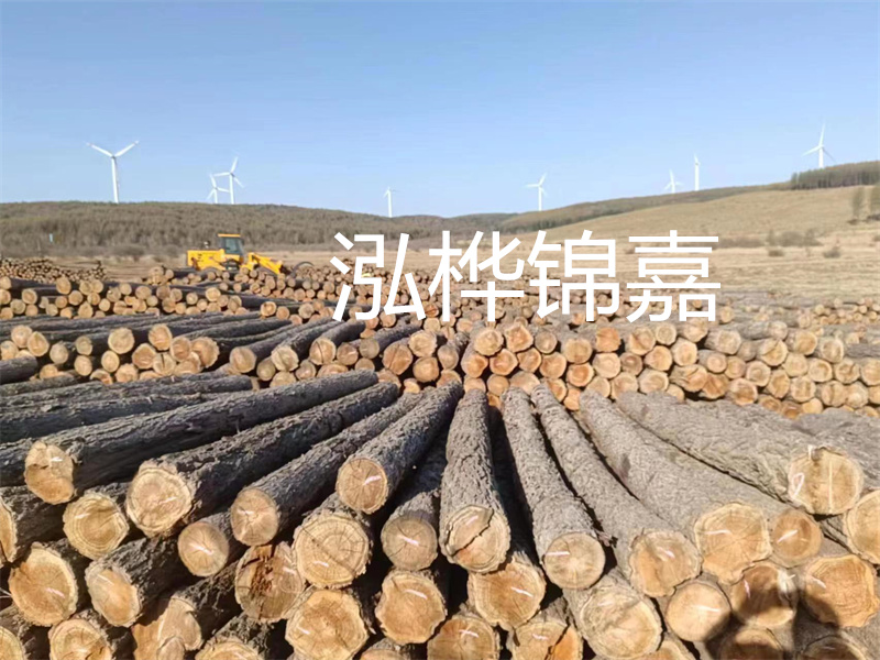 溫州松木樁施工廠家——為您打造堅固穩(wěn)定的建筑基礎(chǔ)！