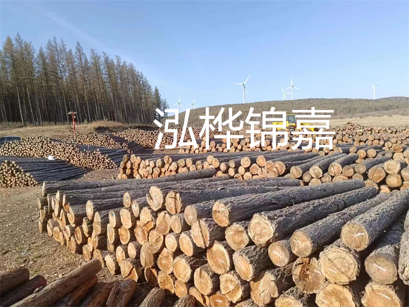 用路基松木樁施工方案提升工程質(zhì)量描述：了解路基松木樁施工方案的重要性，提高工程質(zhì)量關(guān)鍵詞：路基松木樁，施工方案，工程質(zhì)量