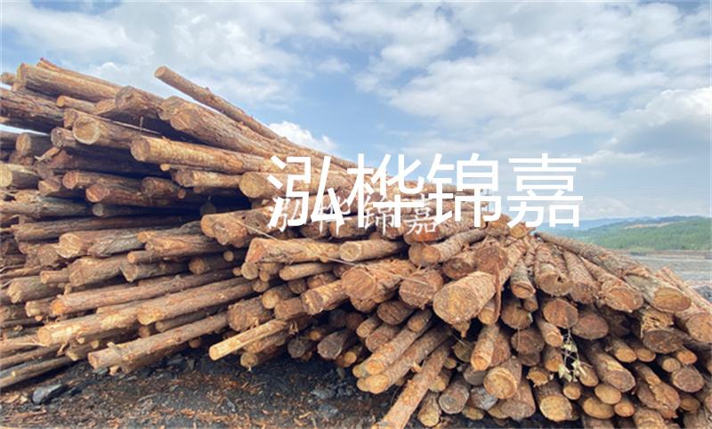 濮陽松木樁，卓越品質(zhì)，安全可靠