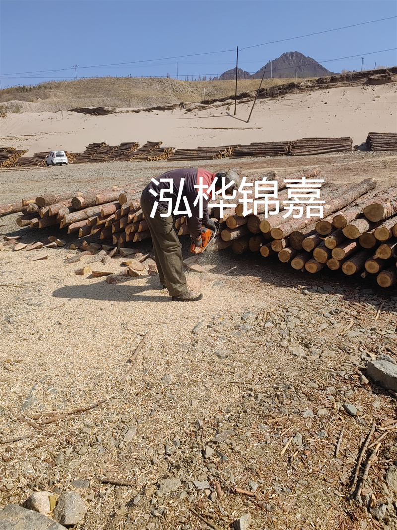 松木樁哪里有賣？挑選松木樁要注意什么？
