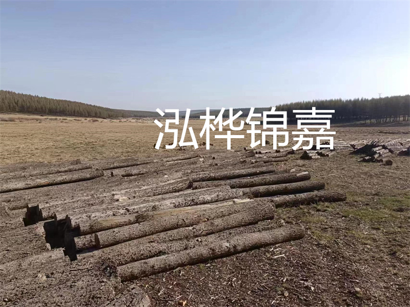 鄂州松木樁哪里好？推薦泓樺錦嘉松木樁業(yè)！